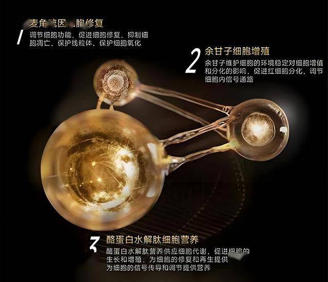 八百多亩圃田泽现郑州东五环旁 将是郑州环城生态水系循环工程起点